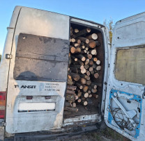 Control sporit al inspectorilor de mediu din Nisporeni: transport ilegal de masă lemnoasă depistat