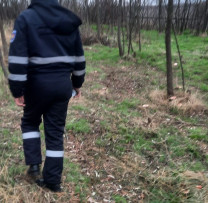 Inspectorii de Mediu și Poliția Rîșcani, împotriva Defrișărilor Ilegale