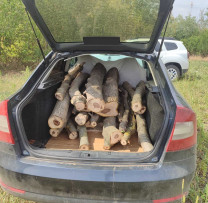 Inspectorii de Mediu din Drochia Descoperă Încălcări de Mediu în Raziile Recent Efectuate