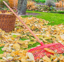 Toamna Ecológică: Compostarea Frunzelor, Alternativa Sănătoasă la Arderea Nocivă