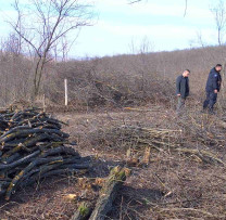 Razie Ecologistă Împotriva Tăierilor Ilegale de Lemn în Nisporeni