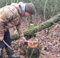 Controale silvice în Dondușeni: tăieri ilegale depistate în fondul forestier și fâșiile de protecție