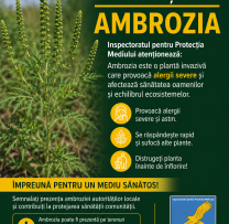 Inspectorii de mediu intensifică acțiunile de combatere a ambroziei pe teritoriul țării