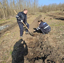 Programul Național de Extindere și Reabilitare a Pădurilor la Cantemir