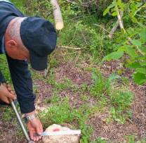 Inspectorii de mediu din Dondușeni dezvăluie cazuri de încălcare a regulilor de gestionare a deșeurilor și tăiere ilegală a masei lemnoase