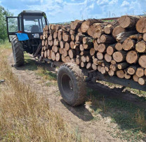 ÎNCĂLCAREA MODULUI DE TRANSPORTARE A MASEI LEMNOASE LA NISPORENI