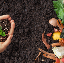 Nu arde frunzele! Transformă-le în compost și ajută mediul înconjurător