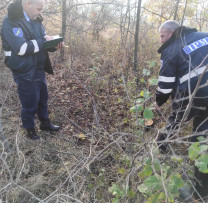 Acțiunea Viguroasă a Inspectorilor de Mediu din Telenești Împotriva Braconajului și Tăierilor Ilicite