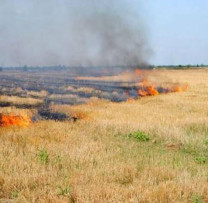 Fără foc în câmp! Inspectoratul pentru Protecția Mediului avertizează asupra pericolului de incendii