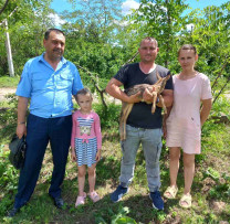 Pui de Căprioară Abandonat Salvat de un Localnic din Băxani