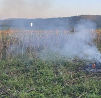 Inspectorii de Mediu din Strășeni combat arderea ilegală a resturilor vegetale pe terenurile agricole