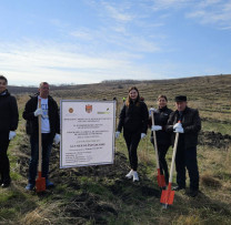 Inspectorii de mediu din Bălți extind acțiunile de împădurire în Lipovanca