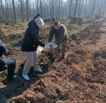 Programul Național de Extindere și Reabilitare a Pădurilor la Rezina.