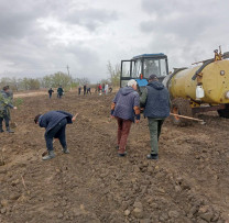 PLANTĂM VIITORUL LA CĂUȘENI
